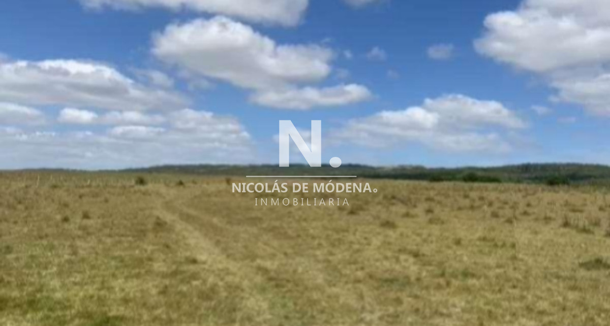 Vende Gran campo Ganadero  Forestal - GoPunta - Portal Inmobiliario de Punta del Este - Maldonado