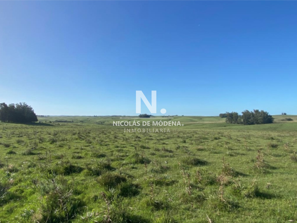 Campo en Venta en Garzón , Maldonado - GoPunta - Portal Inmobiliario de Punta del Este - Maldonado