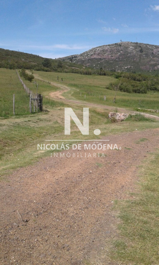 Campo