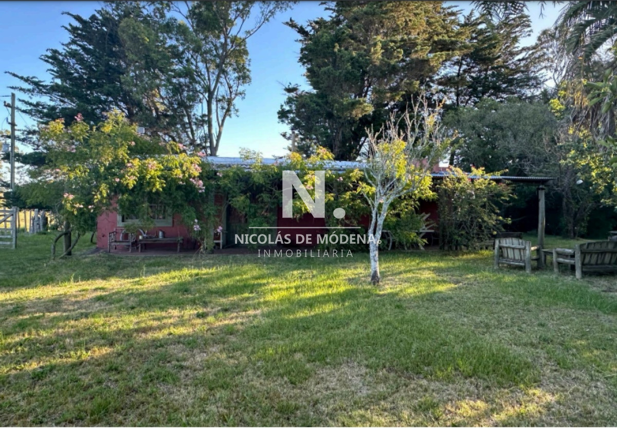 Vende excelente campo en  Jose Ignacio, ideal para fin turistico - GoPunta - Portal Inmobiliario de Punta del Este - Maldonado