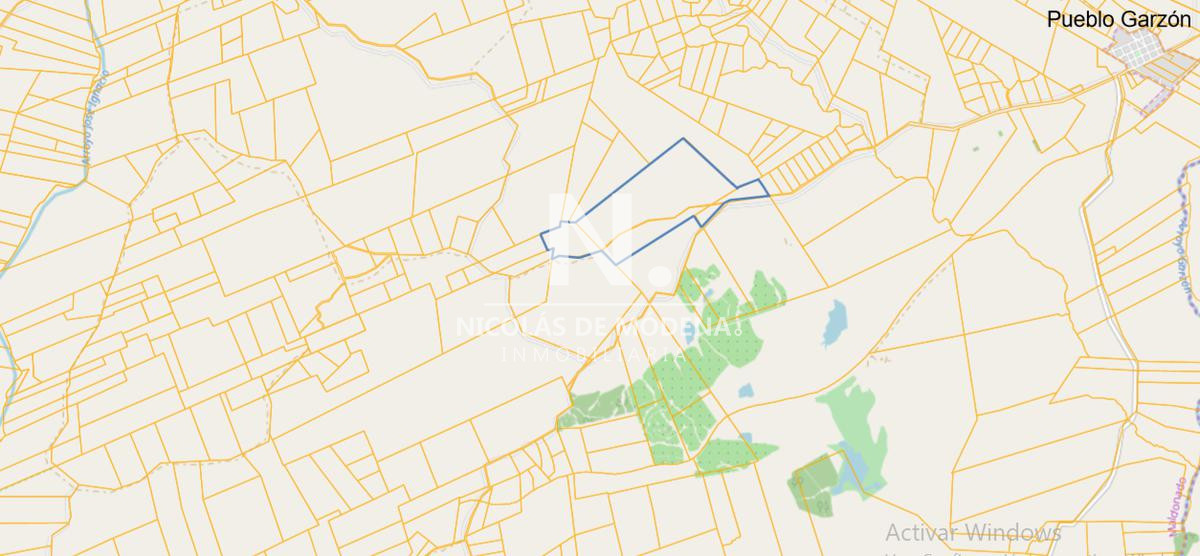 Campo