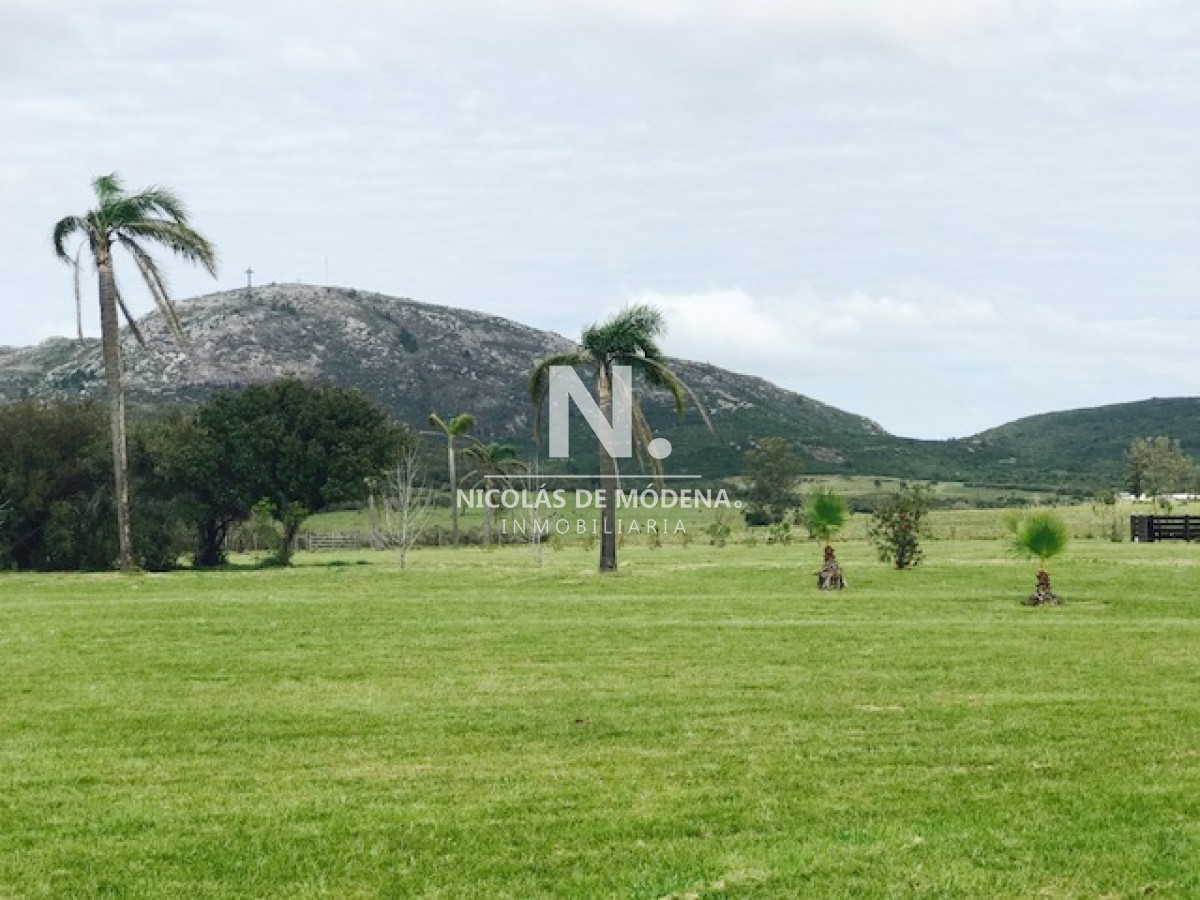 Campo