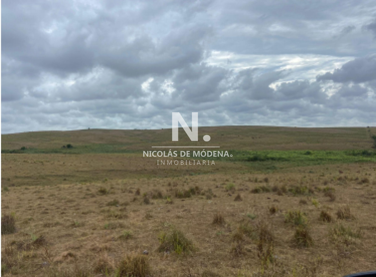 En venta campo de 643 en Don Carlos, a10km de Rocha - GoPunta - Portal Inmobiliario de Punta del Este - Maldonado