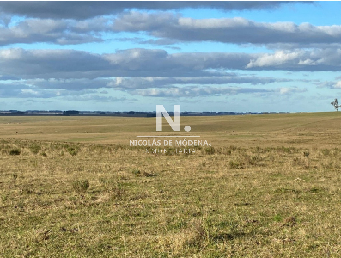 Gran campo Lavalleja - GoPunta - Portal Inmobiliario de Punta del Este - Maldonado