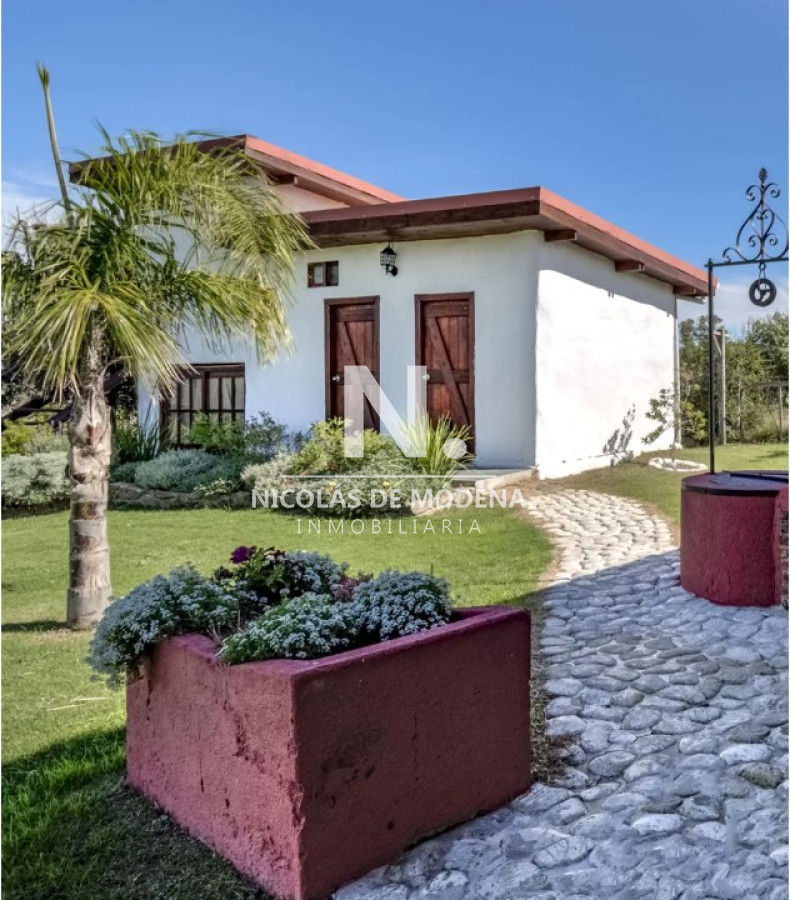 Campo