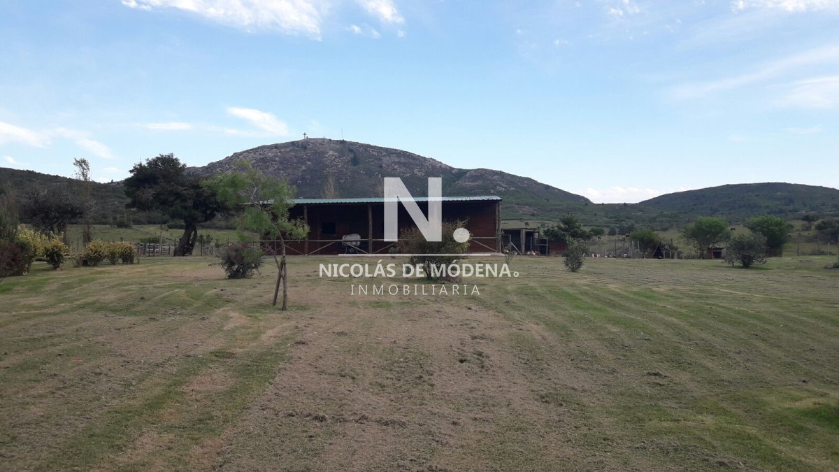 Campo