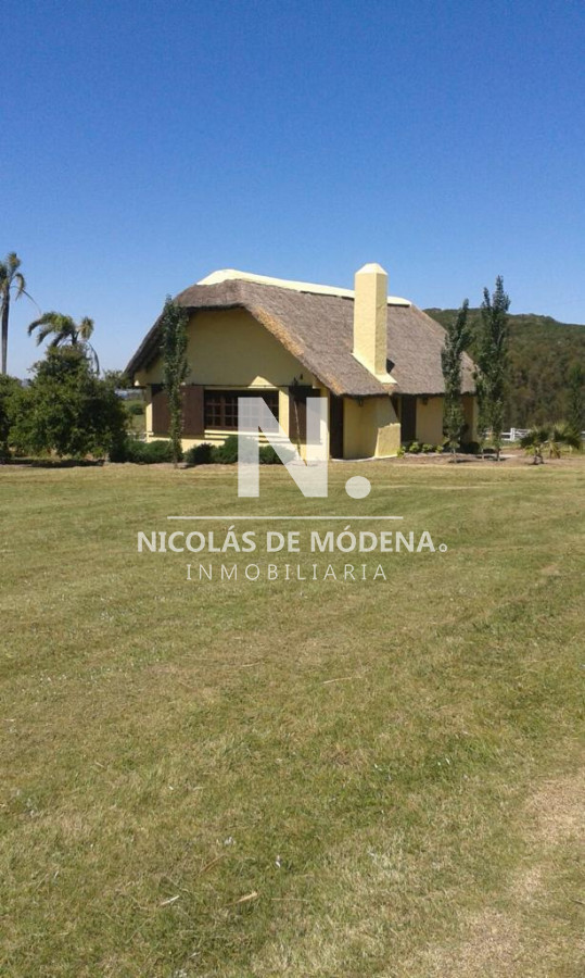 Campo
