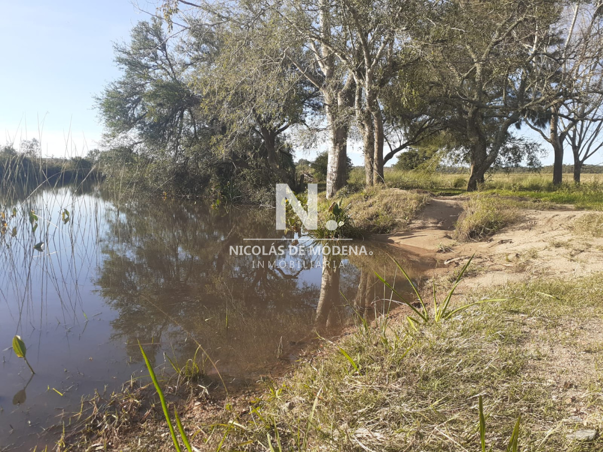 Campo
