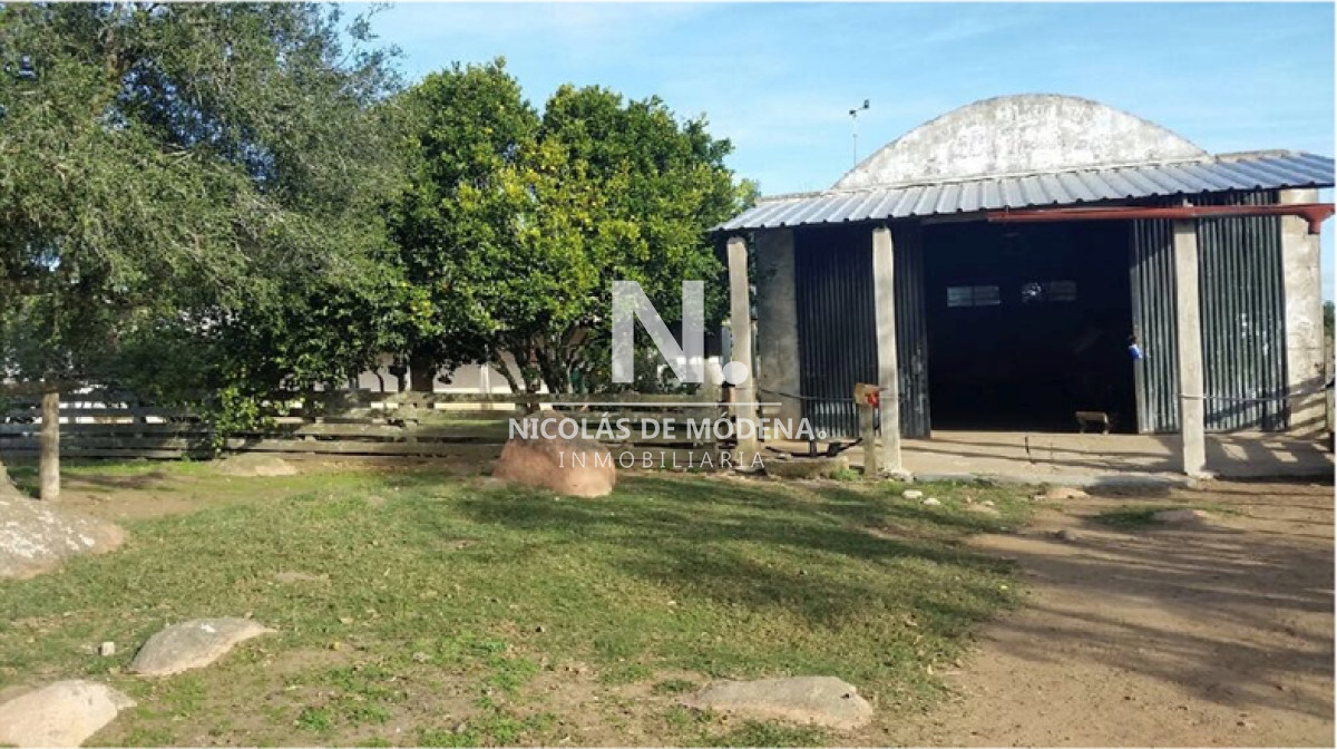 En venta campo criador en Montevideo   Treinta y Tres. - GoPunta - Portal Inmobiliario de Punta del Este - Maldonado