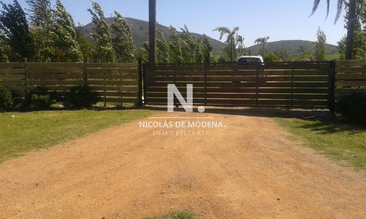 Campo