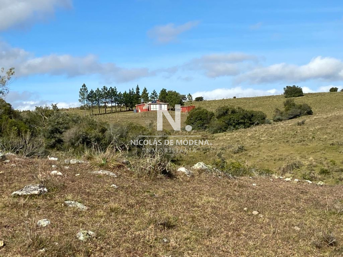 Campo