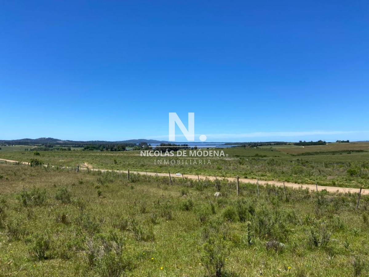 Campo a la venta en Abra del Perdomo  de 44has - GoPunta - Portal Inmobiliario de Punta del Este - Maldonado