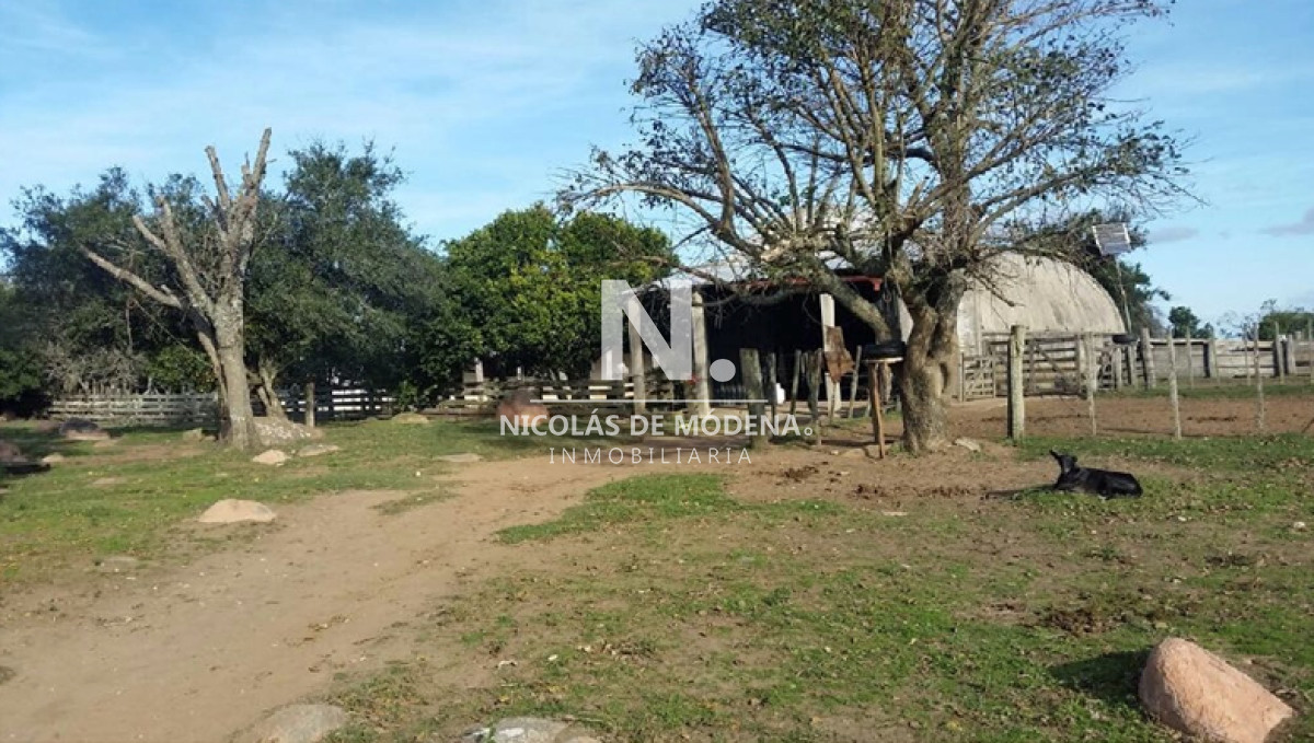 En venta campo criador en Montevideo   Treinta y Tres. - GoPunta - Portal Inmobiliario de Punta del Este - Maldonado