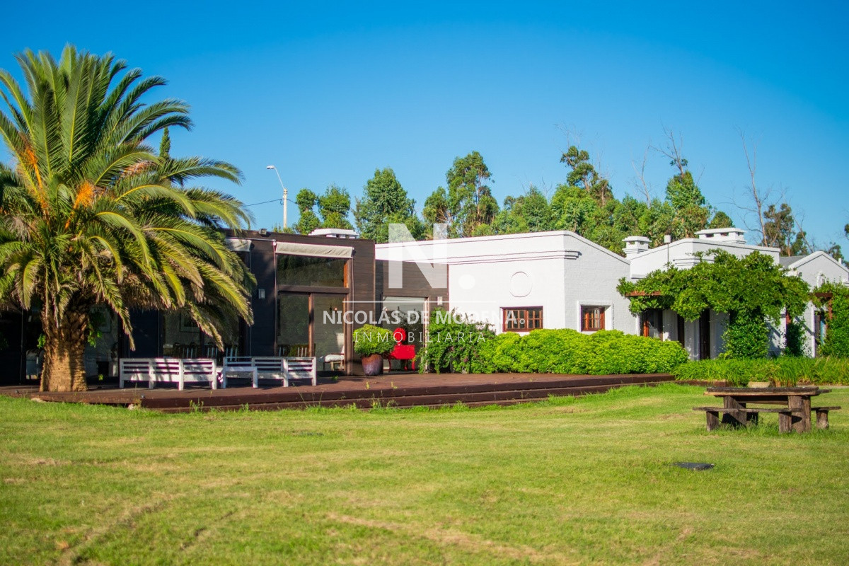Campo