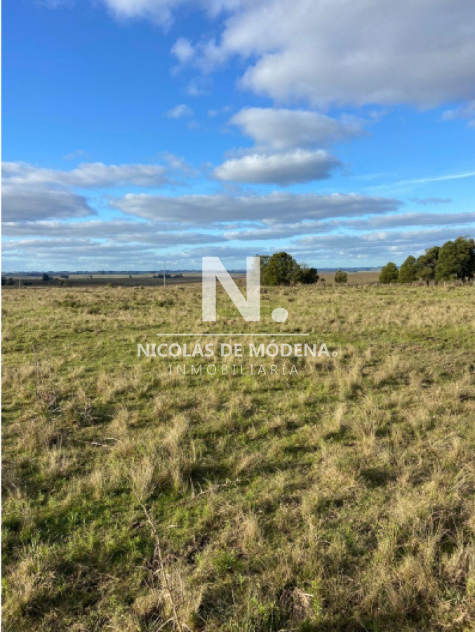 Gran campo Lavalleja - GoPunta - Portal Inmobiliario de Punta del Este - Maldonado