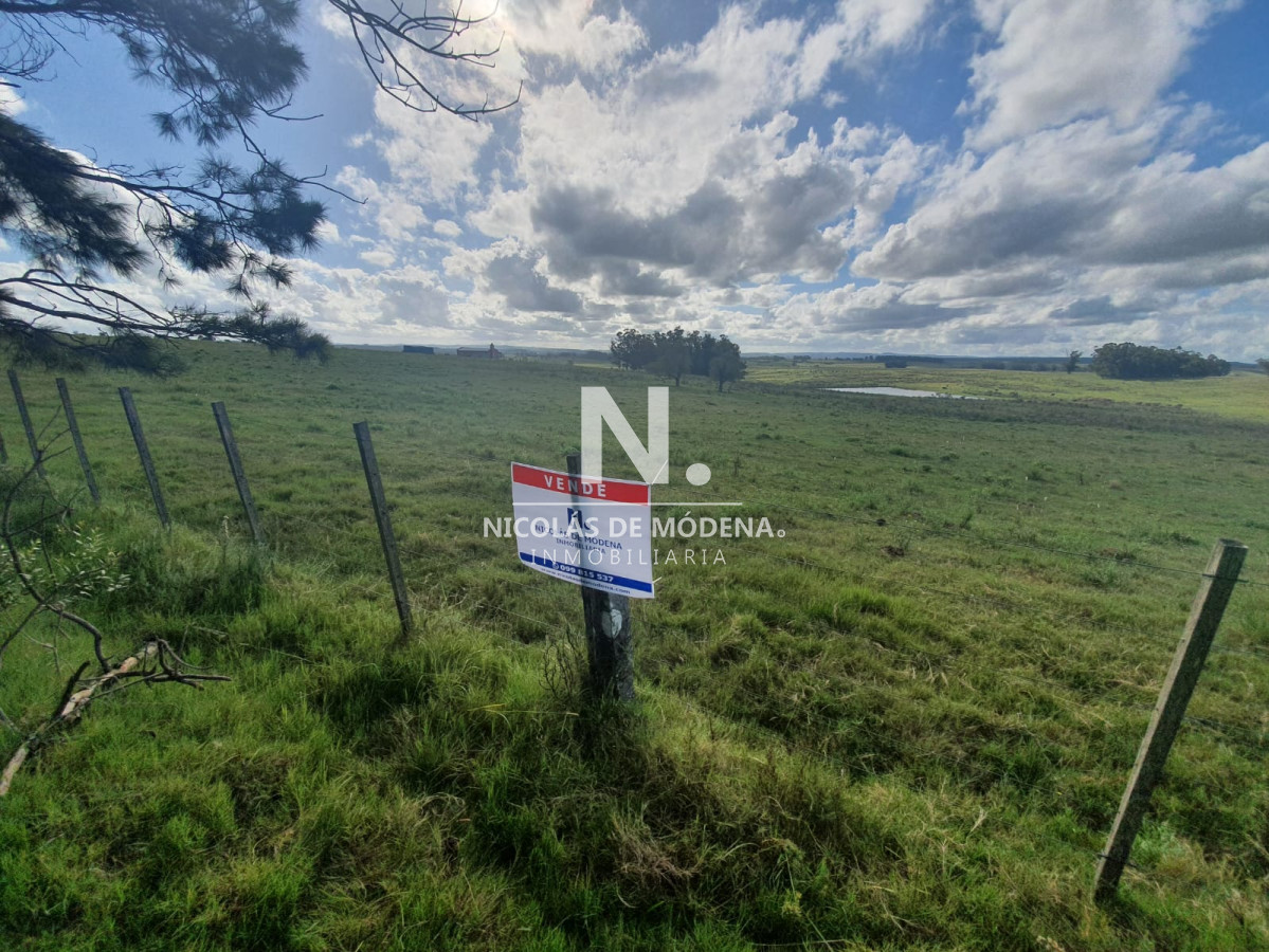 Campo de 63 hectáreas - GoPunta - Portal Inmobiliario de Punta del Este - Maldonado
