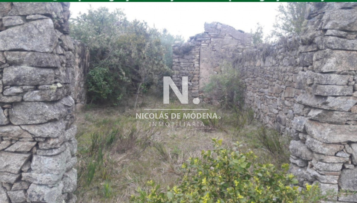 Campo