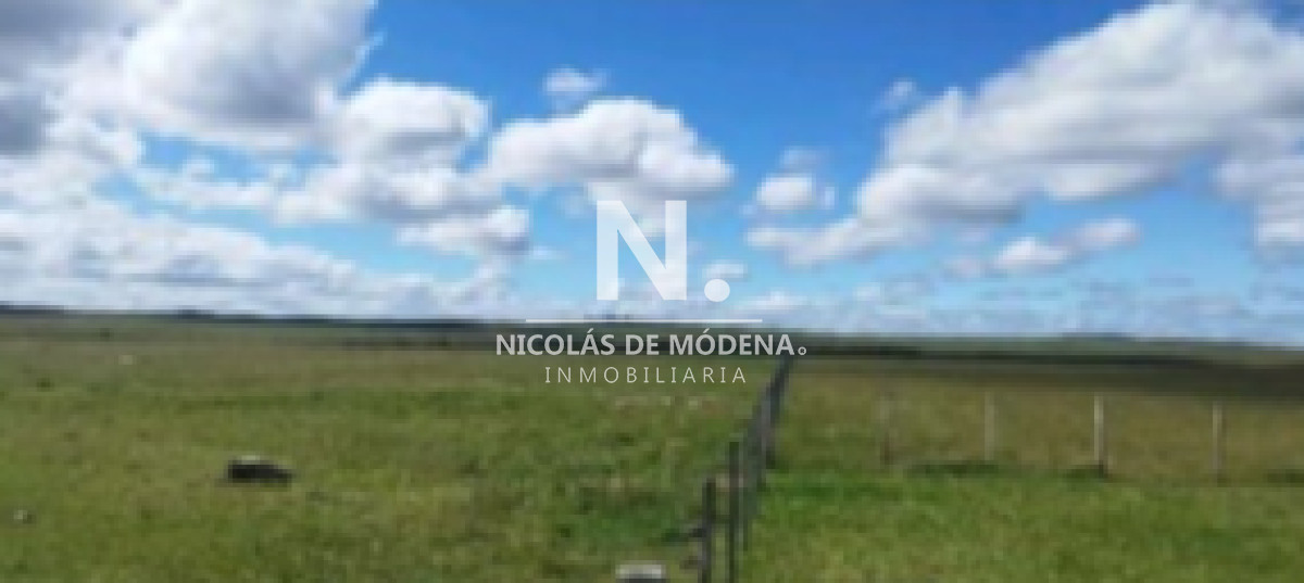 Vende campo en Salto, Costas de Arerungua. - GoPunta - Portal Inmobiliario de Punta del Este - Maldonado