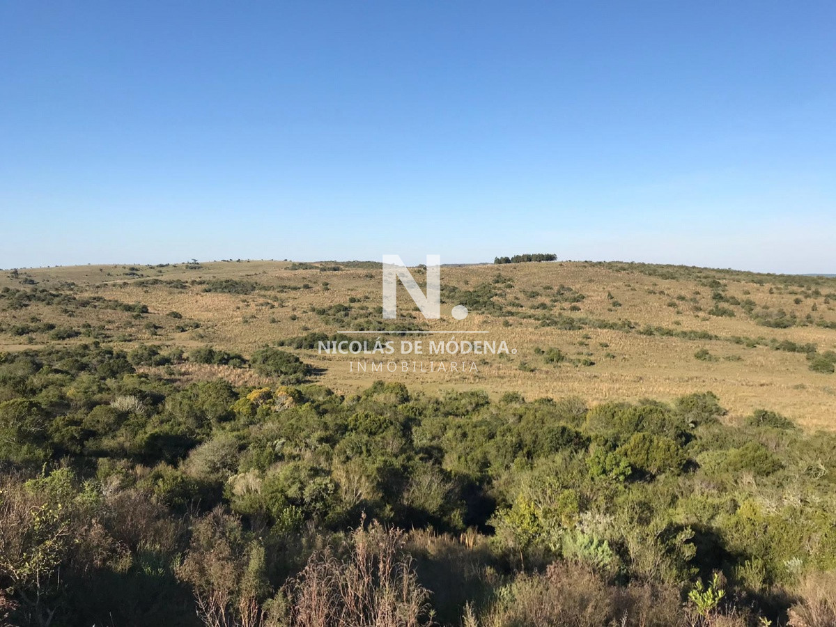Campo en Venta en Cerro Largo y Treinta y Tres - GoPunta - Portal Inmobiliario de Punta del Este - Maldonado