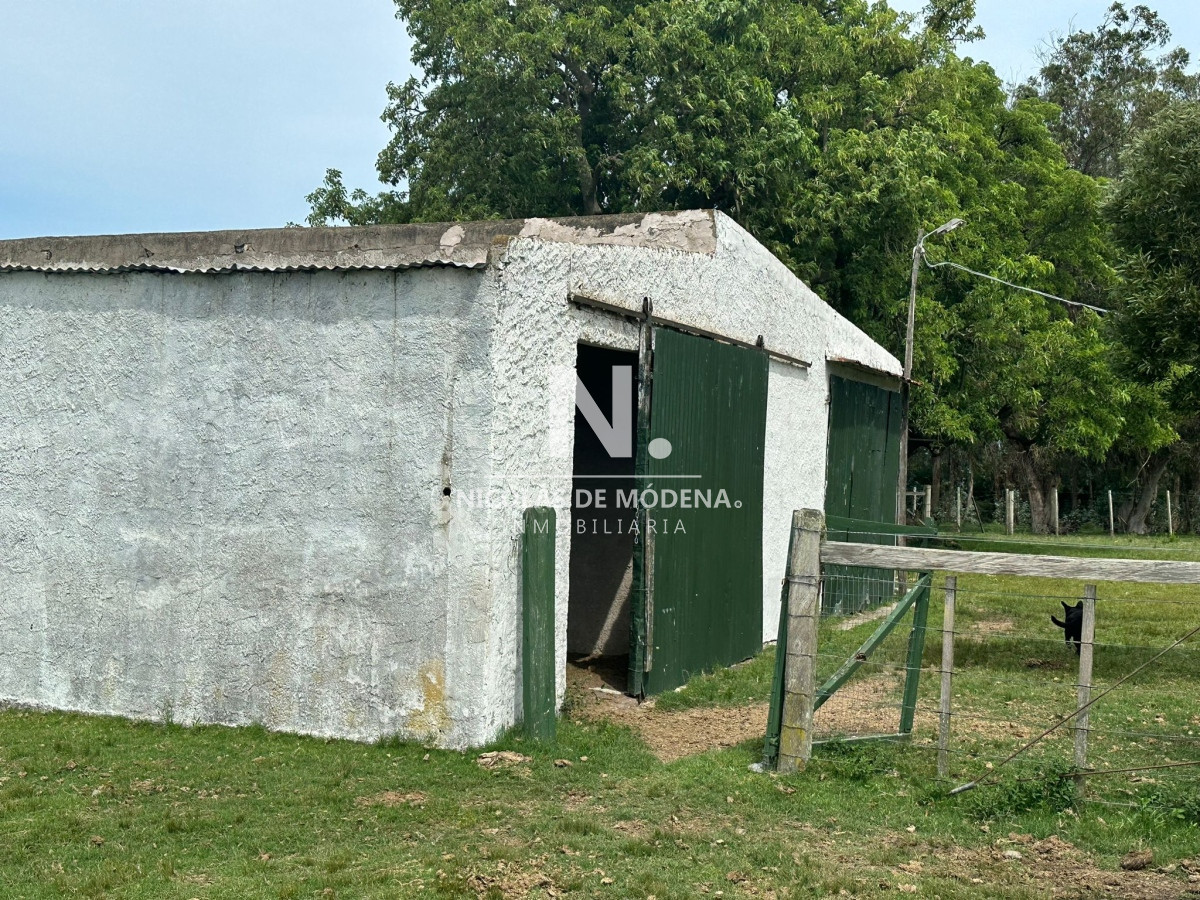 Campo
