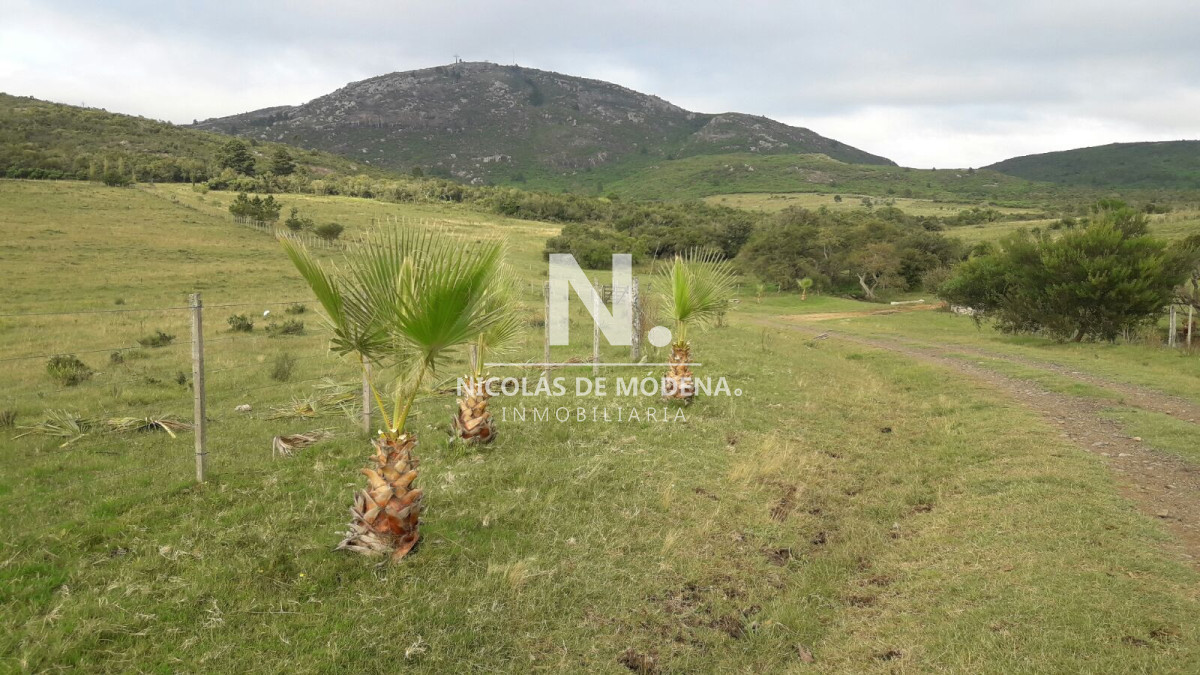 Campo