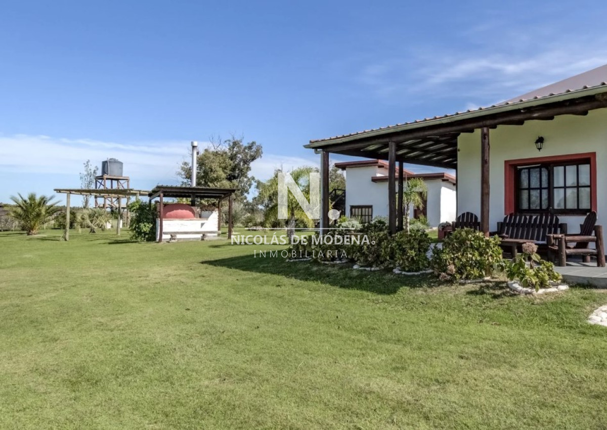 Campo