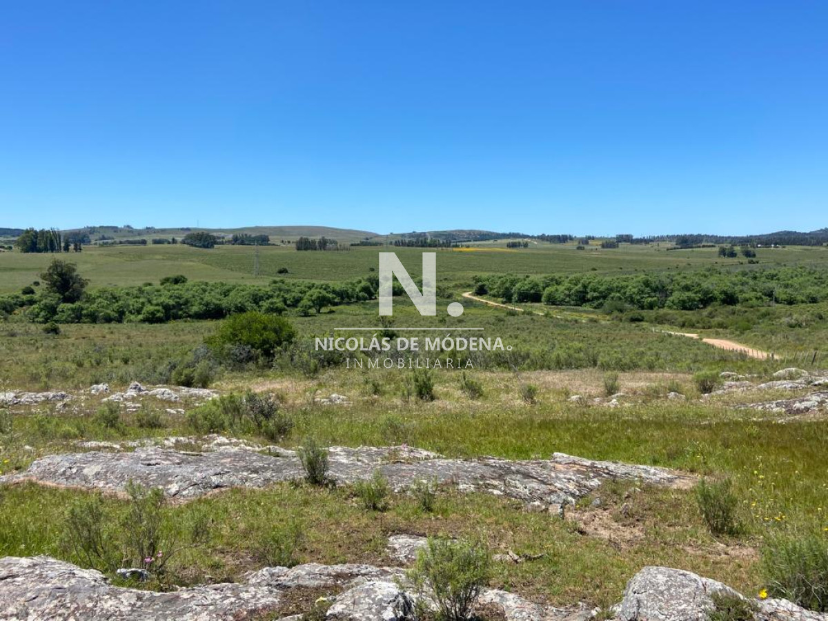 Campo a la venta en Abra del Perdomo  de 44has - GoPunta - Portal Inmobiliario de Punta del Este - Maldonado