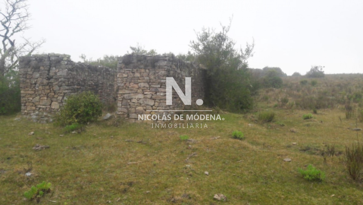 Campo