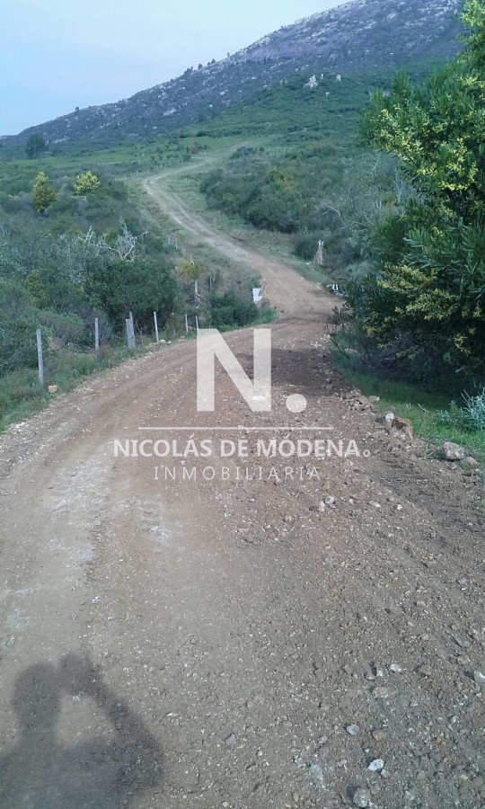 Campo