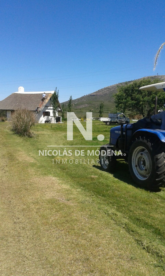 Campo
