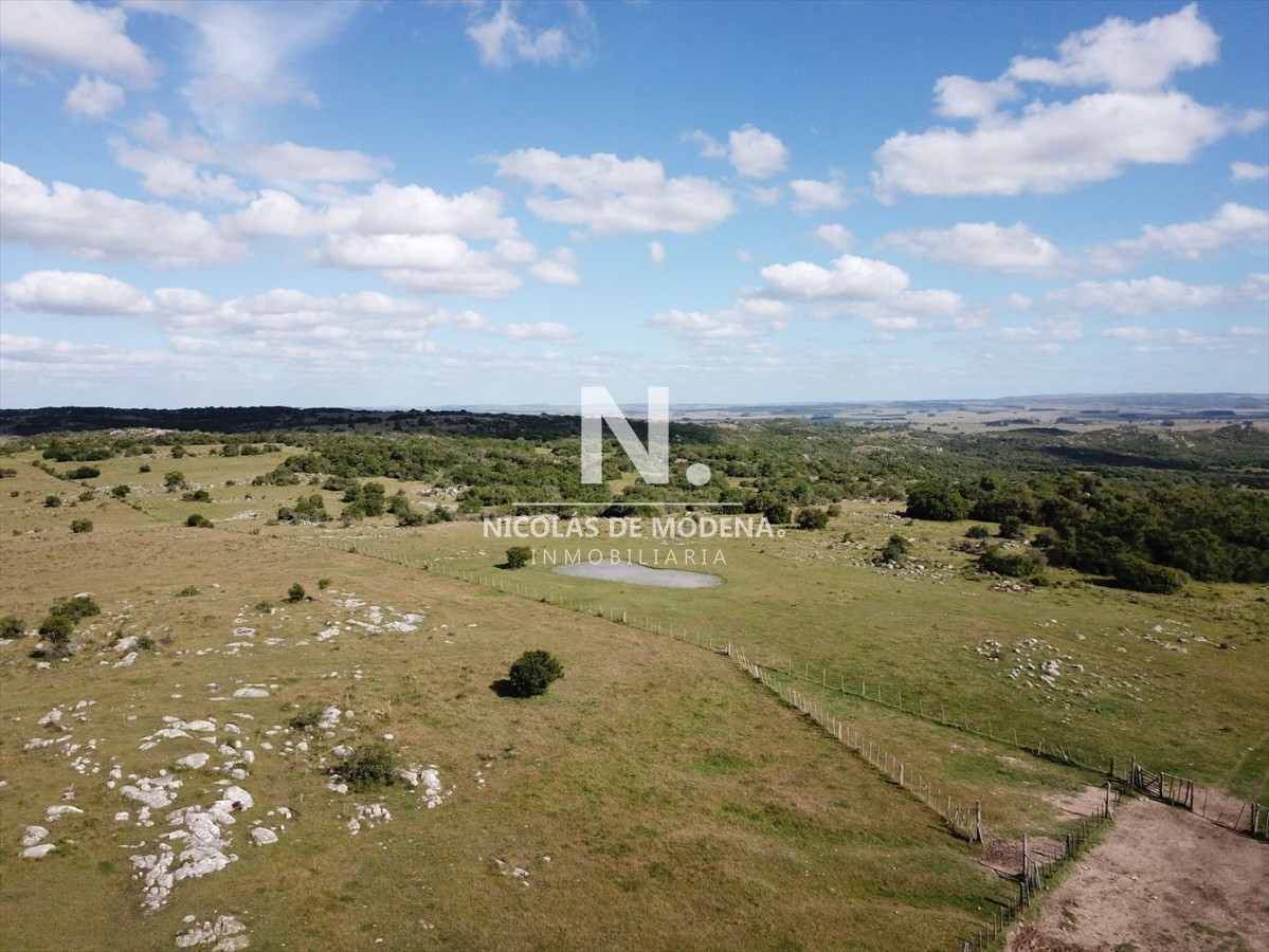 Campo