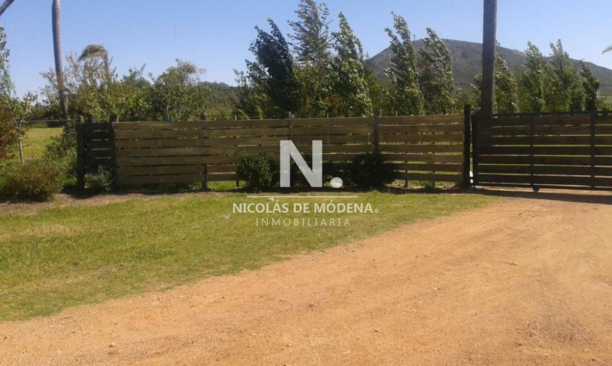 Campo
