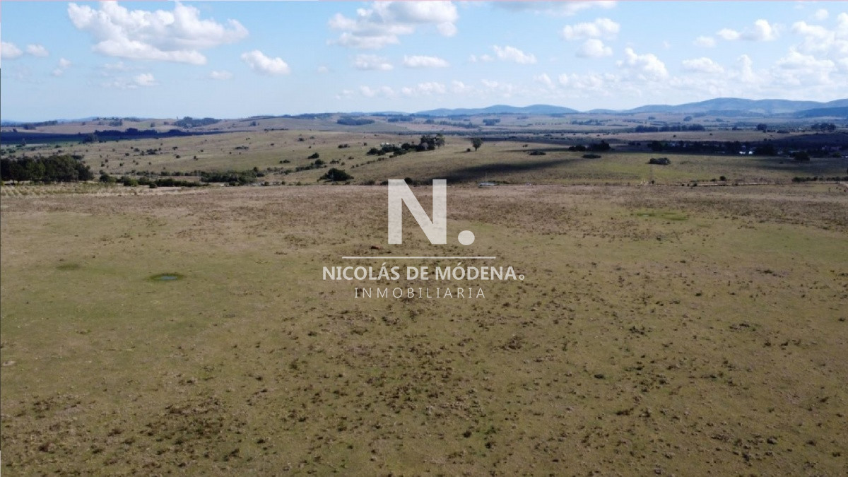 Campo