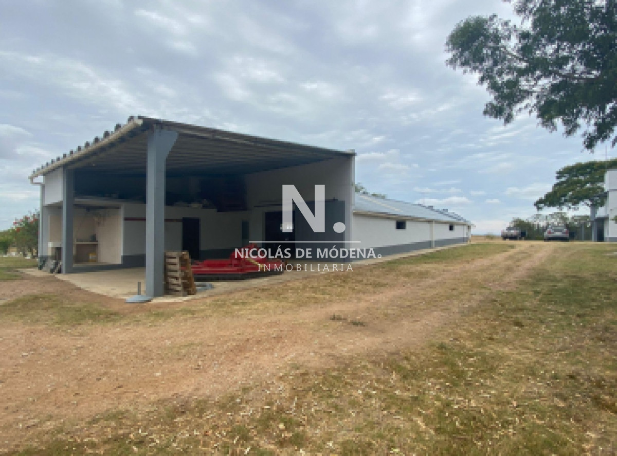 En venta campo de 643 en Don Carlos, a10km de Rocha - GoPunta - Portal Inmobiliario de Punta del Este - Maldonado