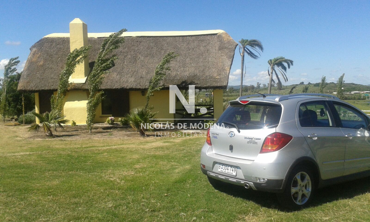 Campo