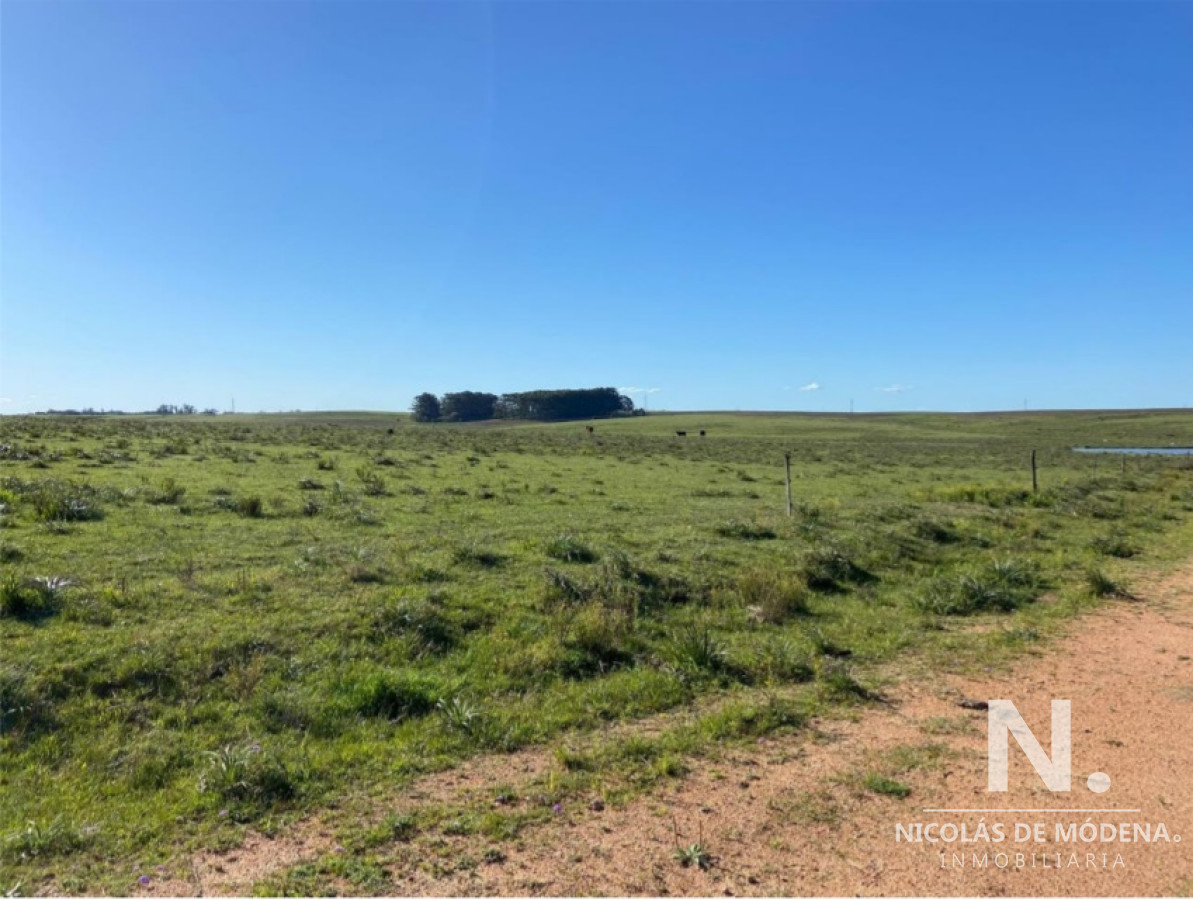 Gran campo en Maldonado - GoPunta - Portal Inmobiliario de Punta del Este - Maldonado