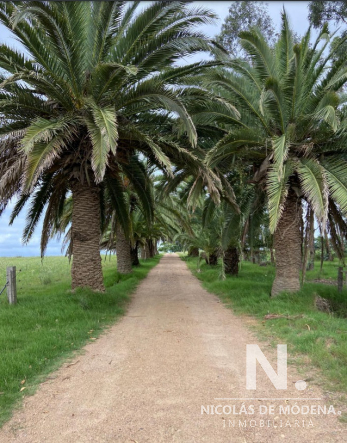 Campo con gran potencial - GoPunta - Portal Inmobiliario de Punta del Este - Maldonado