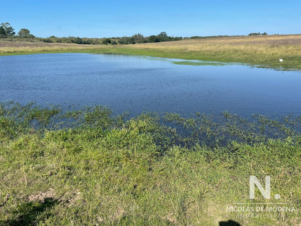 Campo en venta en hermosa zona - GoPunta - Portal Inmobiliario de Punta del Este - Maldonado