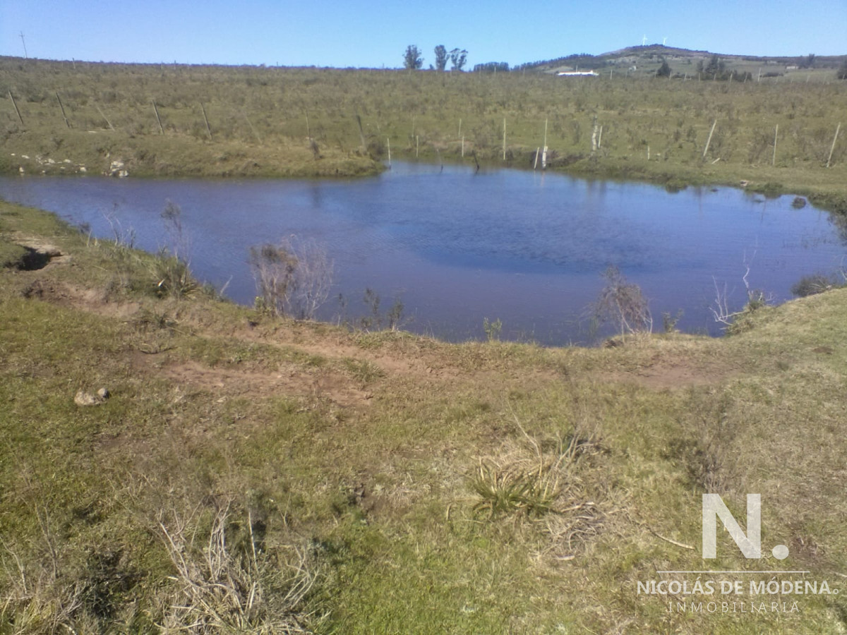 Campo en Pueblo Eden, - GoPunta - Portal Inmobiliario de Punta del Este - Maldonado