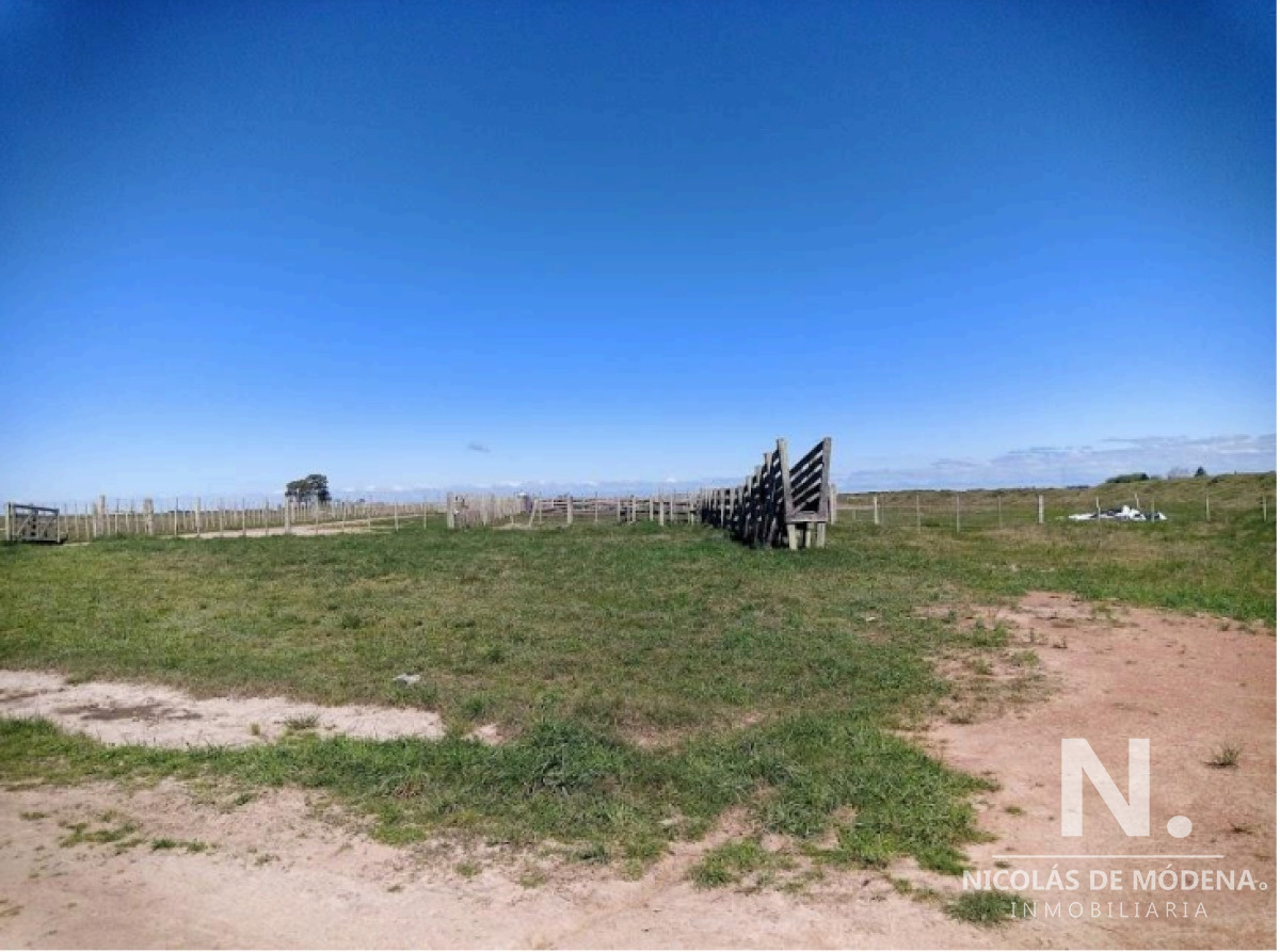 Vende Campo de 2 padrones en Treinta y tres. - GoPunta - Portal Inmobiliario de Punta del Este - Maldonado