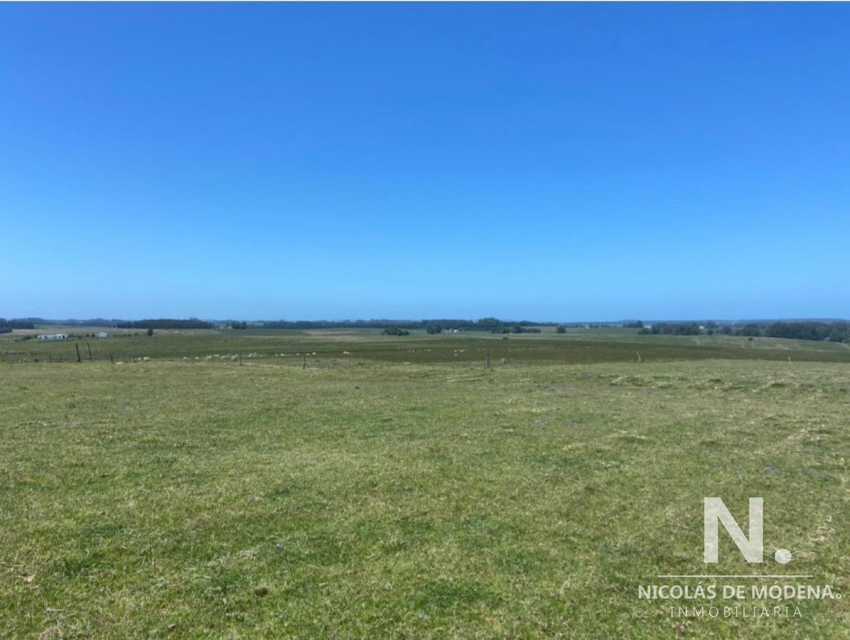 Campo en Manantiales - GoPunta - Portal Inmobiliario de Punta del Este - Maldonado