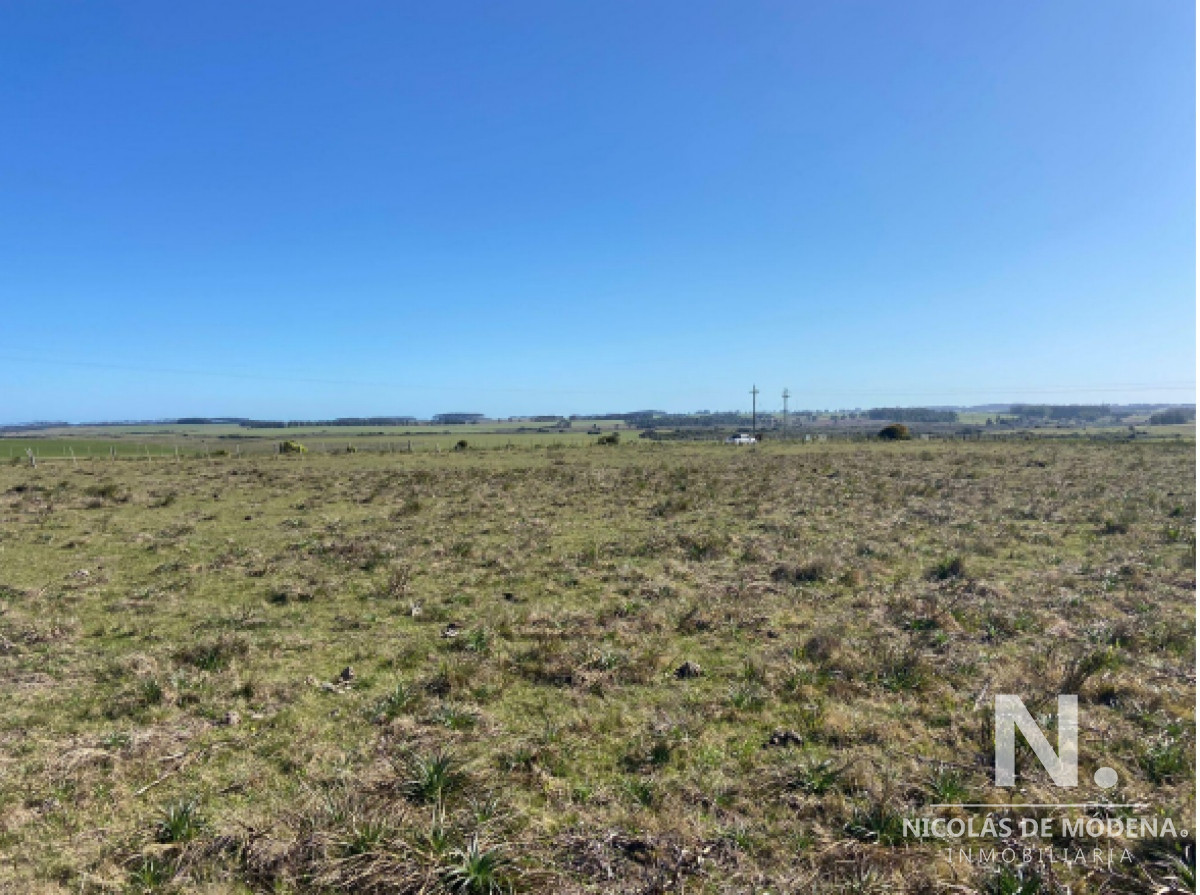 Campo grande en Rocha  Maldonado - GoPunta - Portal Inmobiliario de Punta del Este - Maldonado