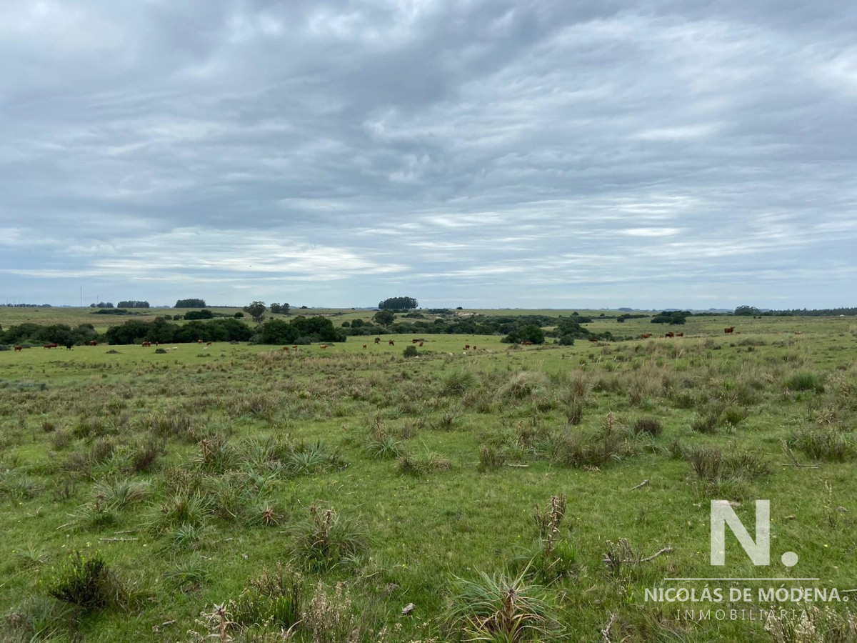 Gran oportunidad de Campo. - GoPunta - Portal Inmobiliario de Punta del Este - Maldonado