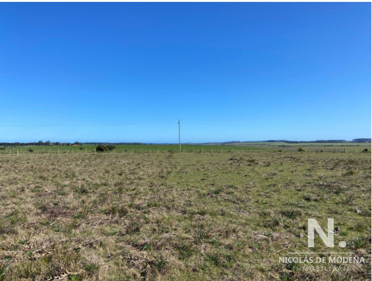 Campo grande en Rocha  Maldonado - GoPunta - Portal Inmobiliario de Punta del Este - Maldonado