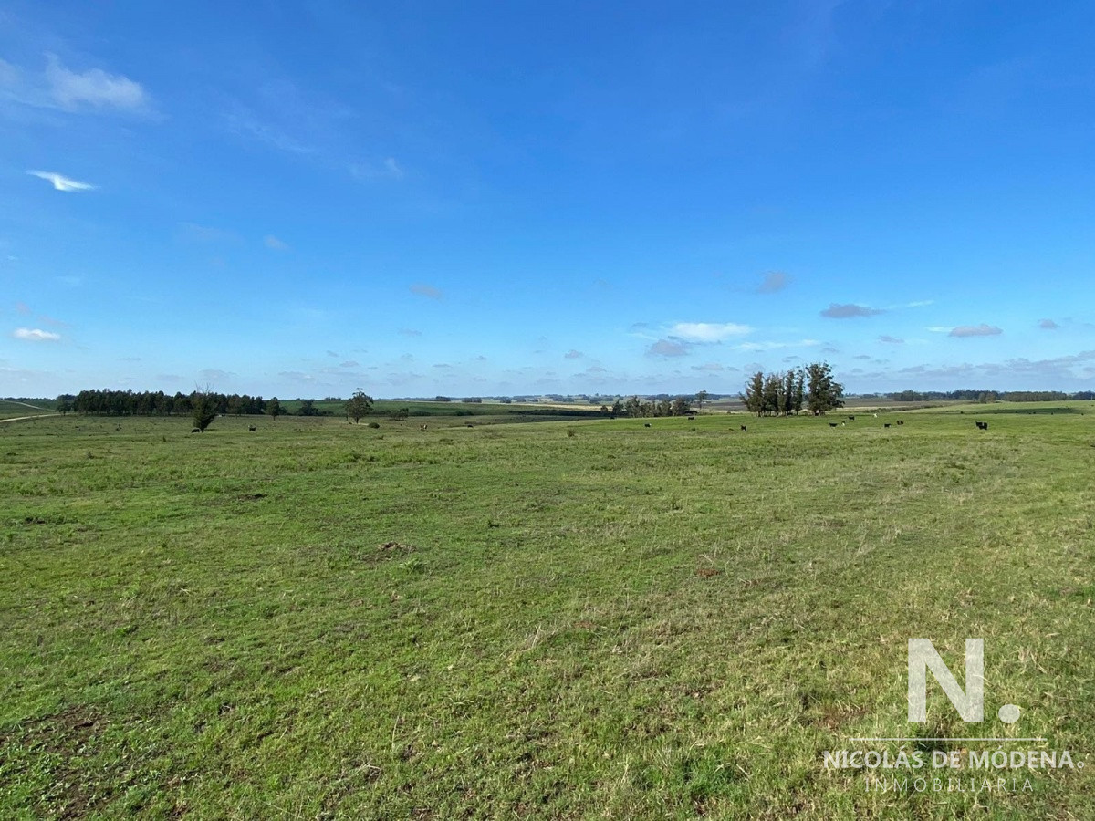 Gran oportunidad de Campo. - GoPunta - Portal Inmobiliario de Punta del Este - Maldonado