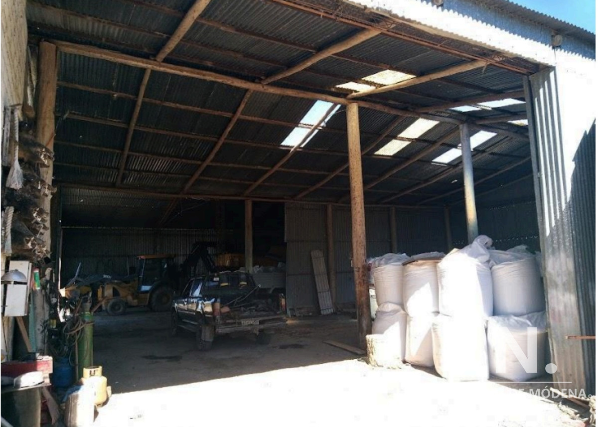 Vende Campo de 2 padrones en Treinta y tres. - GoPunta - Portal Inmobiliario de Punta del Este - Maldonado