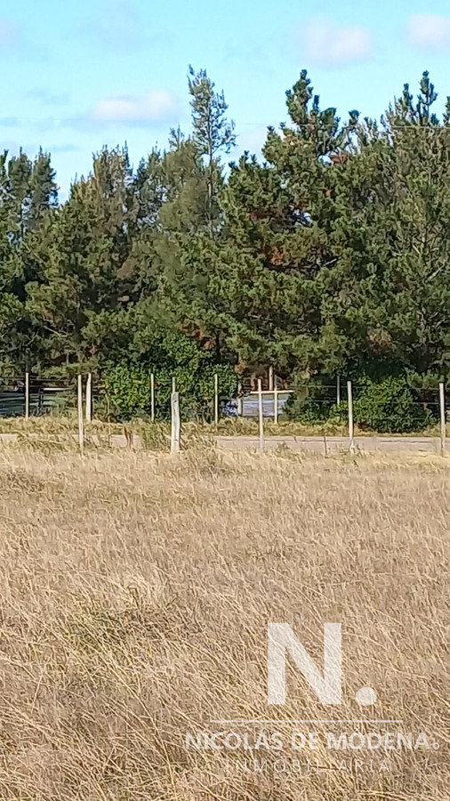 Campo de 52 has en excelente ubicacion, prox a ruta 9 - GoPunta - Portal Inmobiliario de Punta del Este - Maldonado