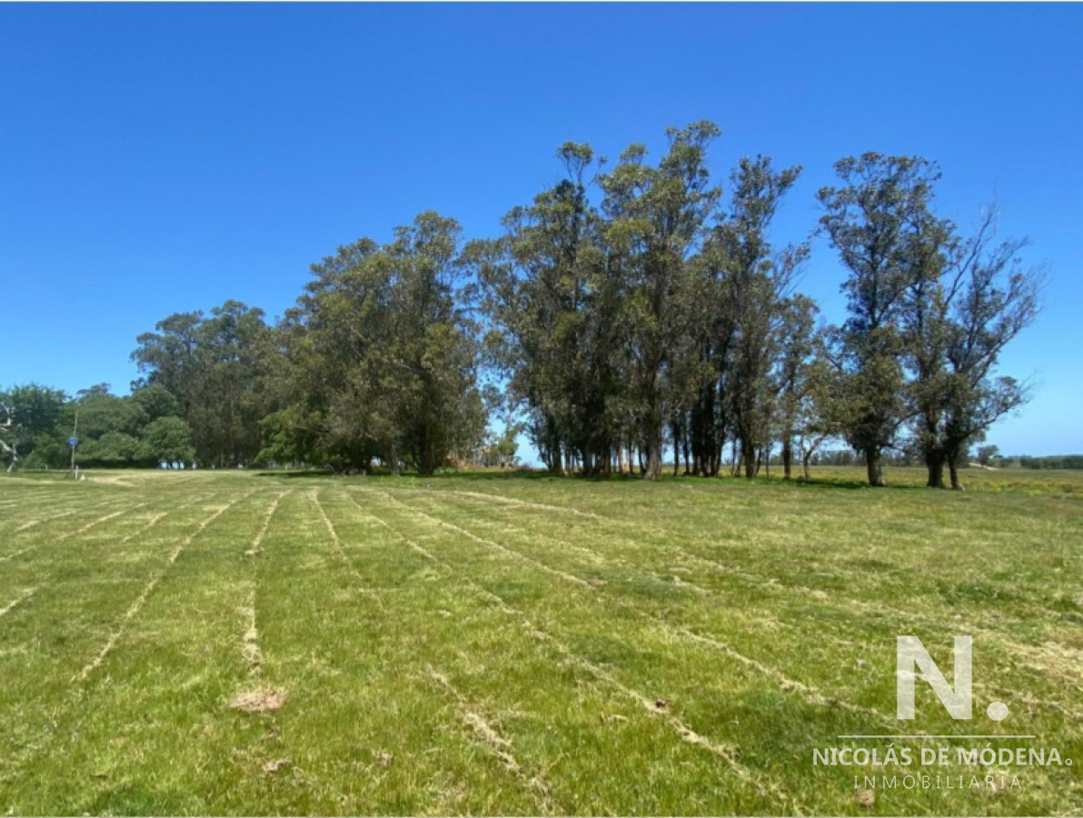 Campo en Manantiales - GoPunta - Portal Inmobiliario de Punta del Este - Maldonado