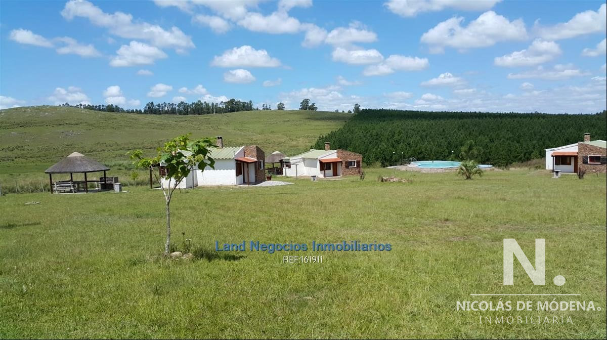 Hermoso campo - GoPunta - Portal Inmobiliario de Punta del Este - Maldonado