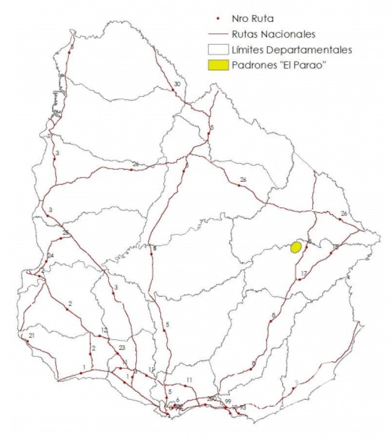 Campo ganadero en venta. - GoPunta - Portal Inmobiliario de Punta del Este - Maldonado